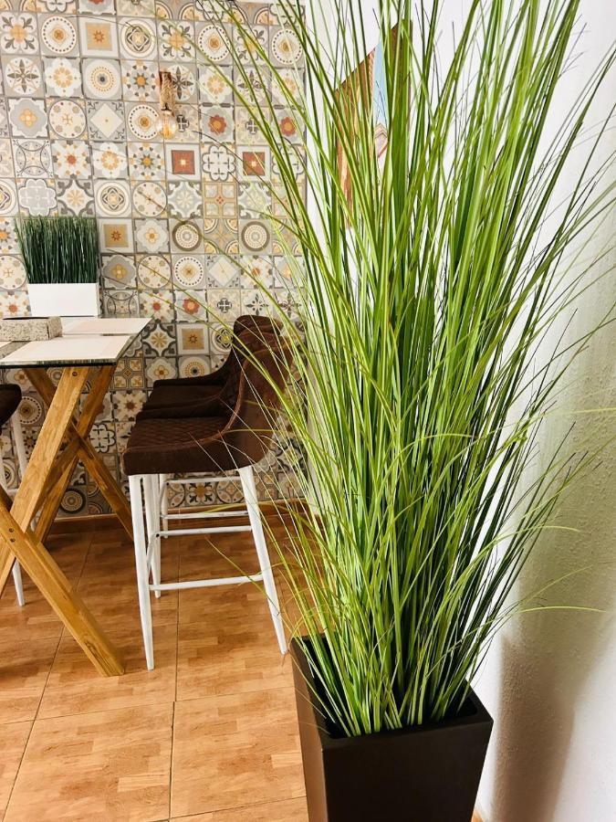 Nice Boutique Flat With Terrace フエンヒロラ エクステリア 写真